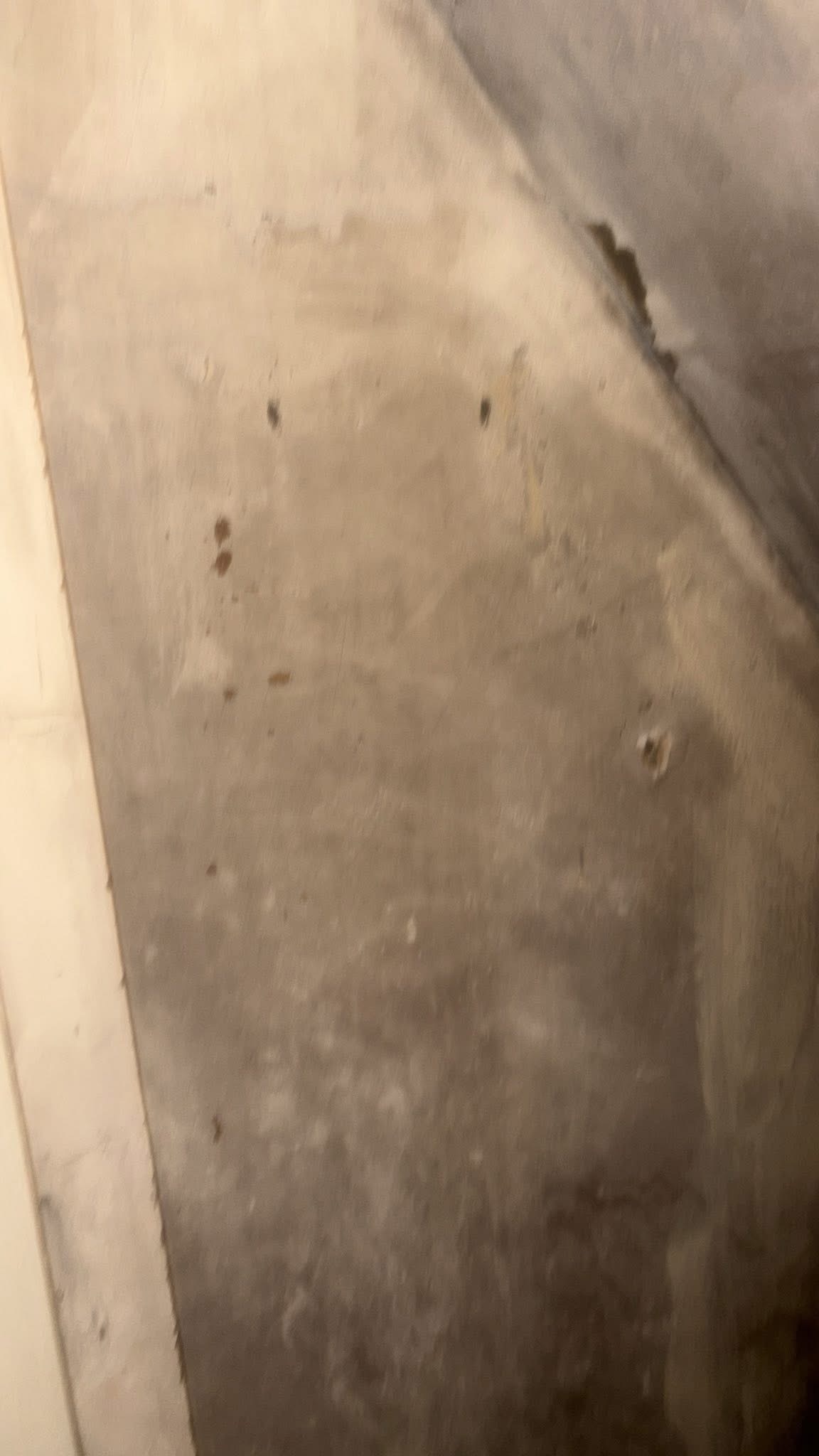 Biohazard kitchen — before decontamination