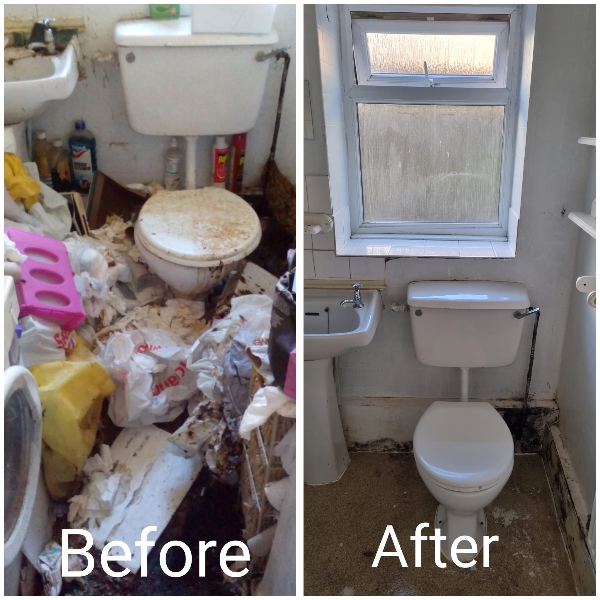 Biohazard Bathroom — Before & After — 2 of a Kind Cleaning Company